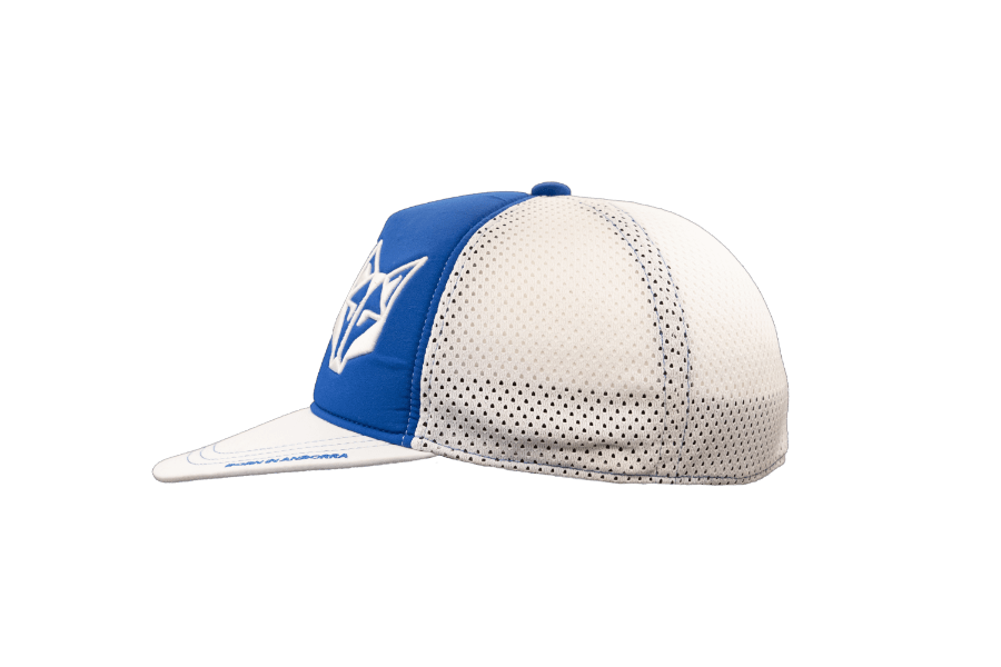 SNAP BACK CAP ELECTRIC BLUE / WHITE(スナップバックキャップ ブルー&ホワイト) - Rufus & Co. オンラインストア